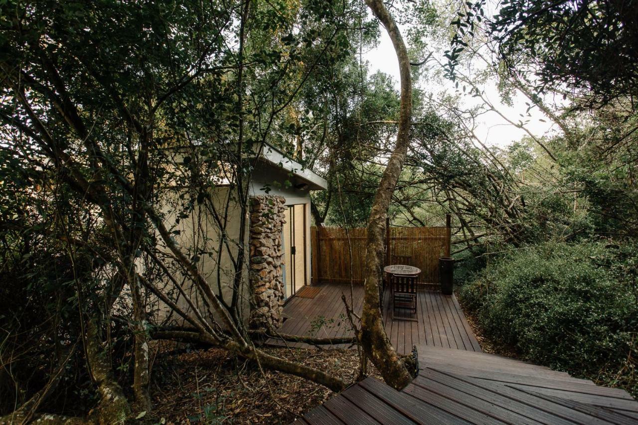 L'Auberge Country Hideaway Порт-Элизабет Экстерьер фото