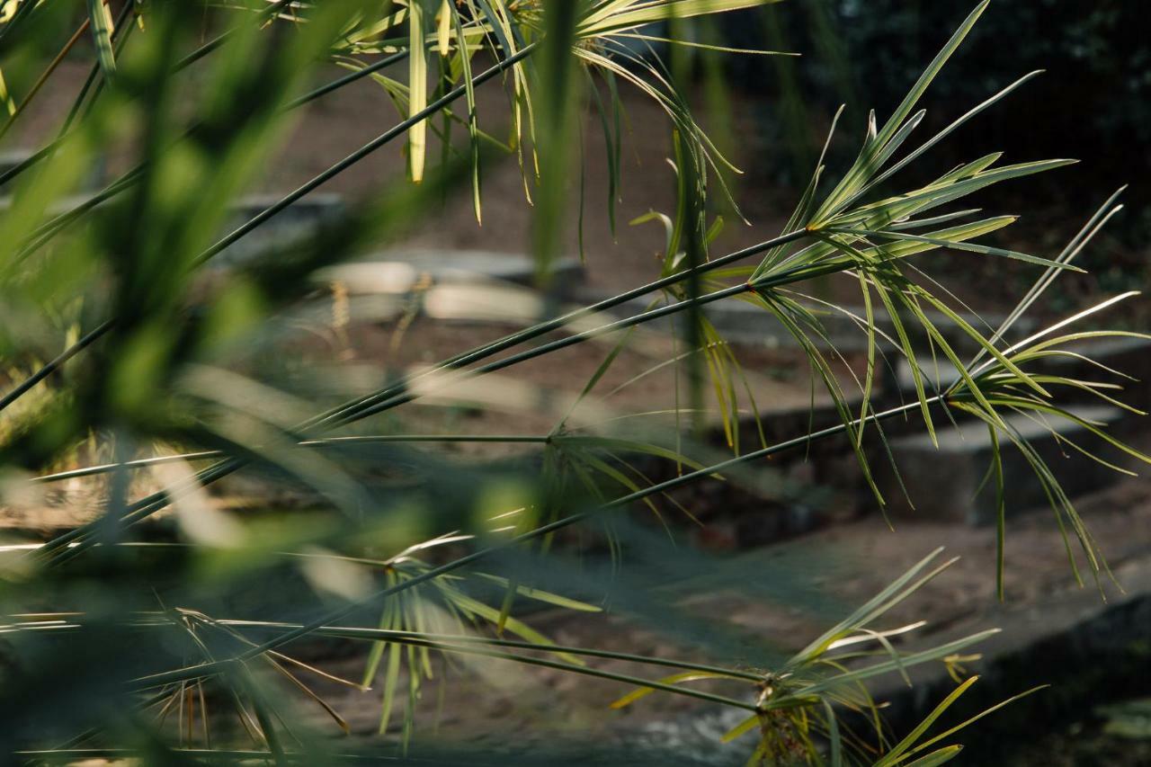 L'Auberge Country Hideaway Порт-Элизабет Экстерьер фото