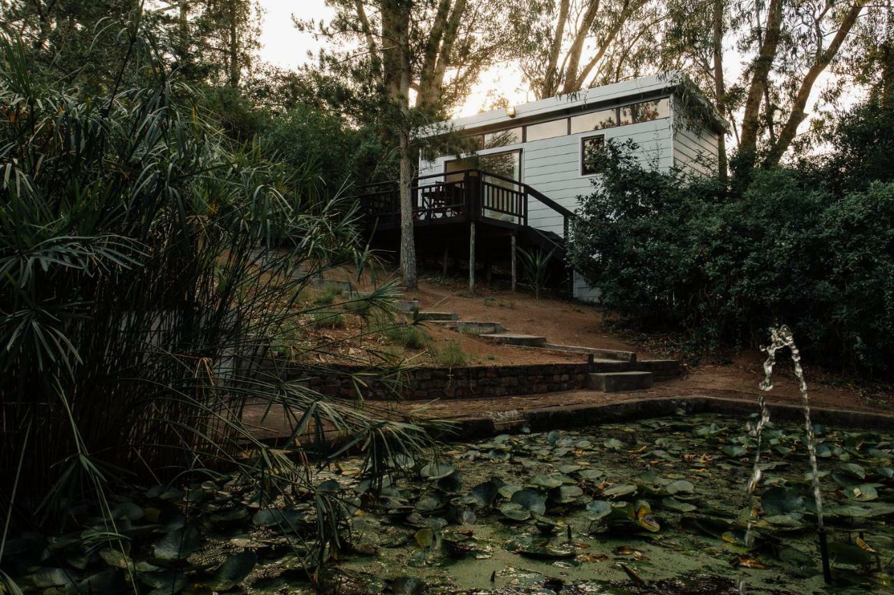L'Auberge Country Hideaway Порт-Элизабет Экстерьер фото